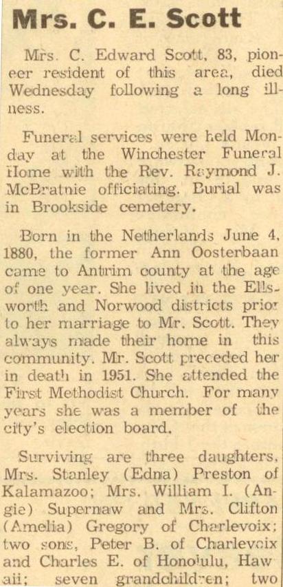 Ann Scott thumbnail