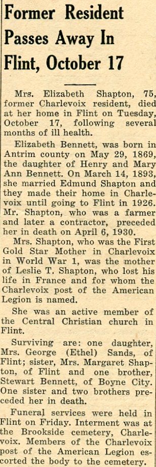 Elizabeth Shapton thumbnail