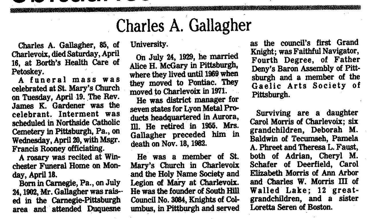 Charles A. Gallagher thumbnail