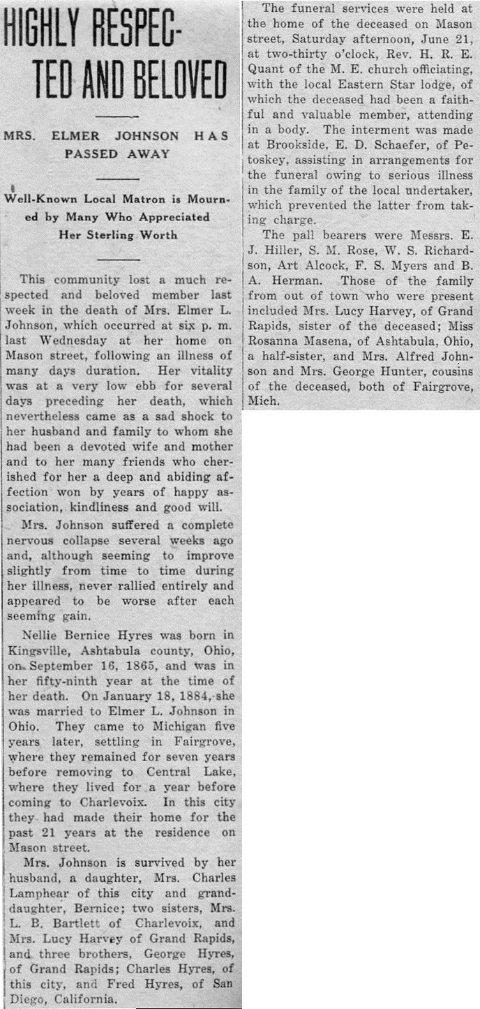 Nellie Bernice Johnson image 2