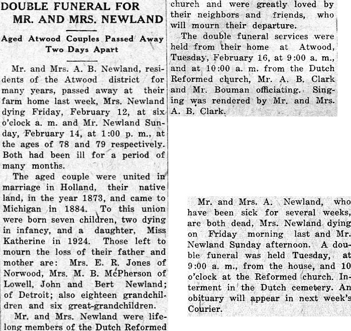 Abel B. Newland thumbnail
