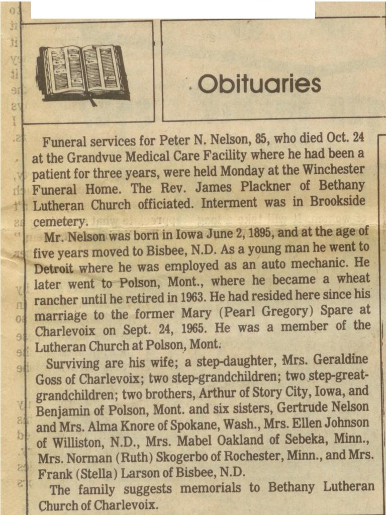 Peter N. Nelson thumbnail