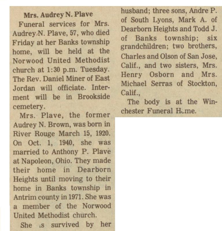 Audrey N. Plave thumbnail